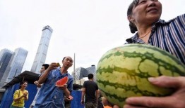 朝阳吃瓜网,揭秘娱乐圈最新热点，带你领略明星幕后故事